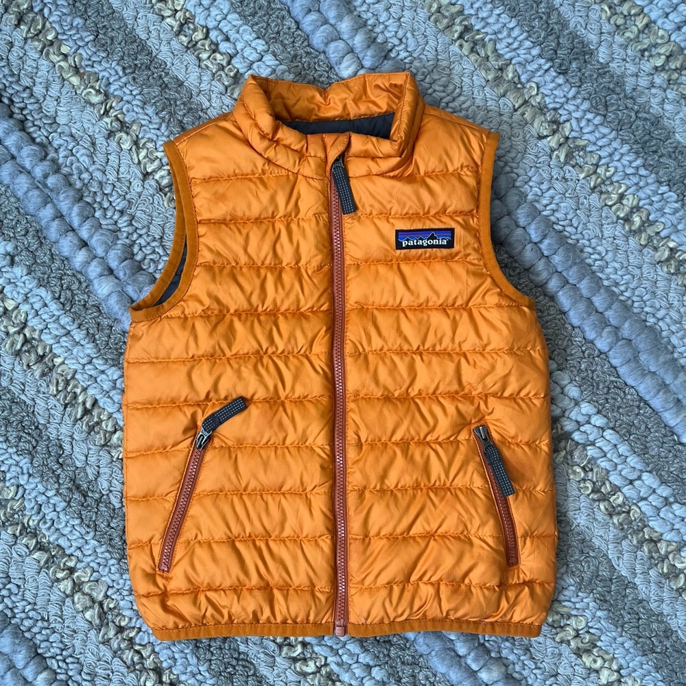 Patagonia vest